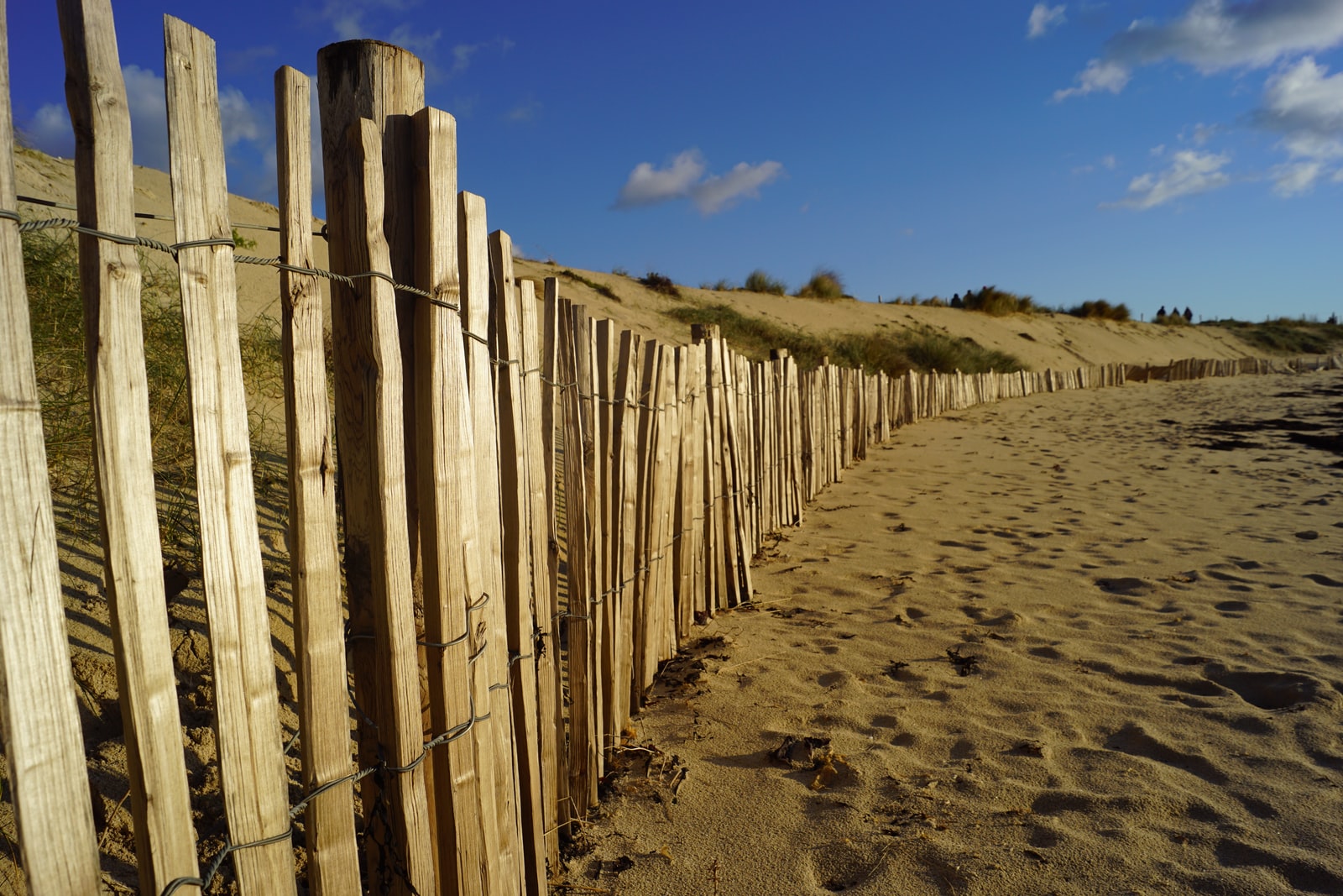 brown wooden fence on brown sand under blue sky during daytime